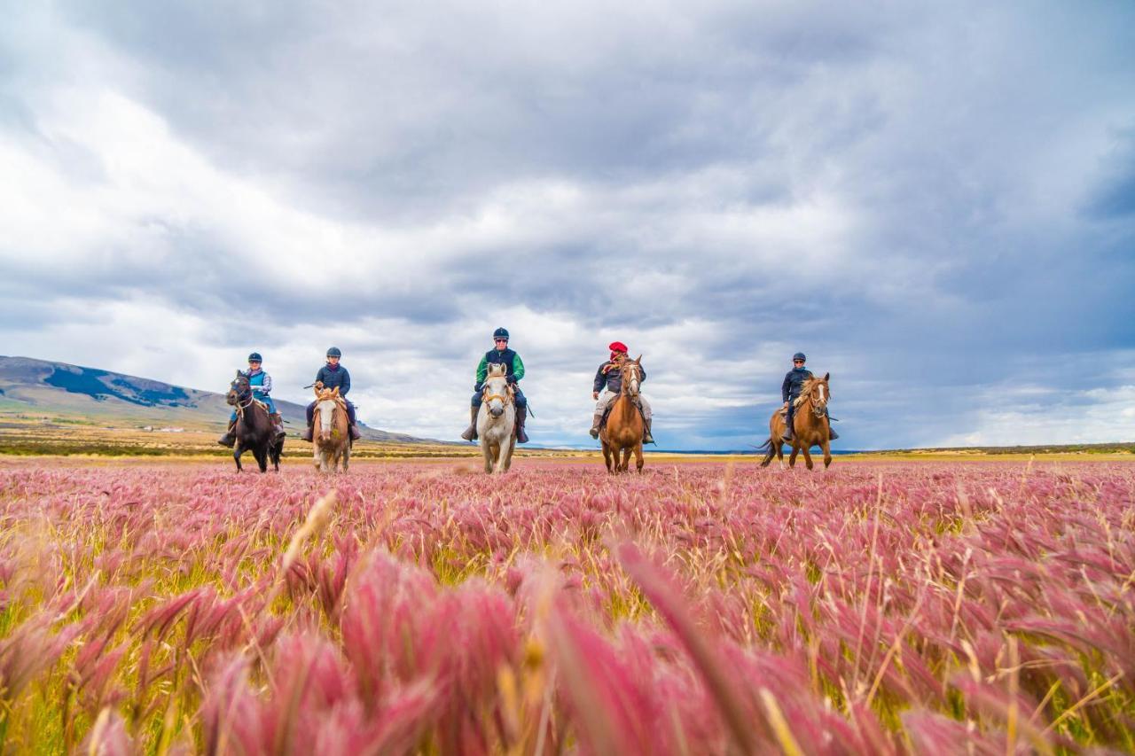 Estancia Cerro Guido Torres del Paine National Park Ngoại thất bức ảnh