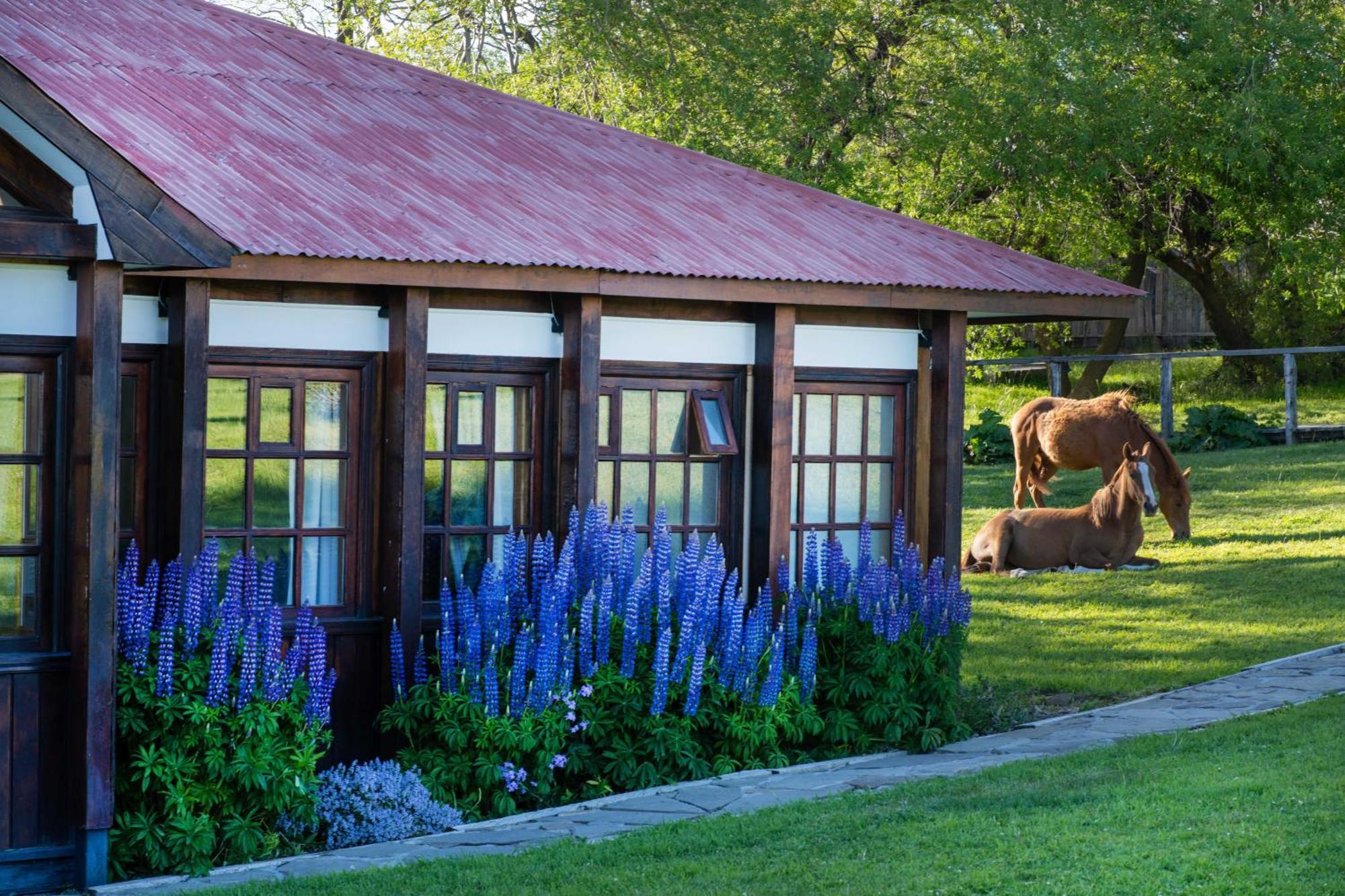 Estancia Cerro Guido Torres del Paine National Park Ngoại thất bức ảnh